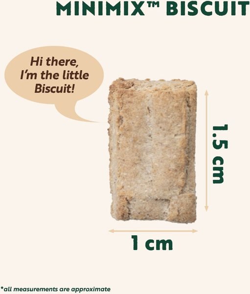 Show full view: Northern Biscuit MiniMix Pumpkin Pie and Peanut Crunch! Crunchy Dog Treats, 450-g bag slide 7 of 9