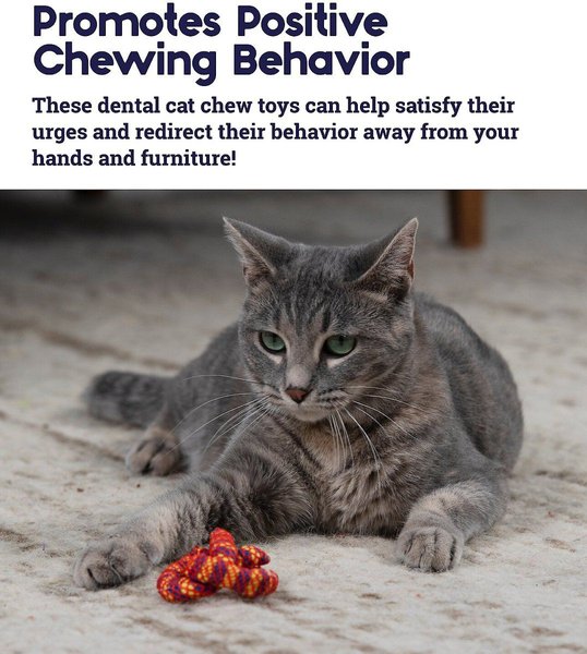 Show full view: Catstages Plaque Away Pretzel Cat Toy with Catnip, Color Varies slide 4 of 6