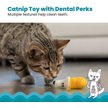 Show in main carousel: Catstages Dental Banana Cat Chew Toy with Catnip slide 2 of 9