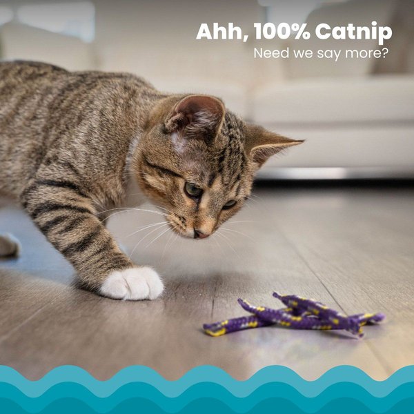 Show full view: Catstages Night Time Catnip Rolls Cat Toy slide 3 of 9