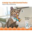 Show in main carousel: Catstages Tons of Tails Cat Toy with Catnip, Color Varies slide 2 of 9