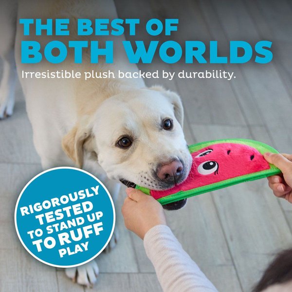 Show full view: Outward Hound Tough Skinz Durable Squeaky Stuffing-Free with Two Layers Dog Toy, Watermelon, Medium slide 3 of 7