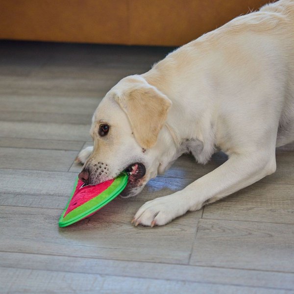 Show full view: Outward Hound Tough Skinz Durable Squeaky Stuffing-Free with Two Layers Dog Toy, Watermelon, Medium slide 6 of 7
