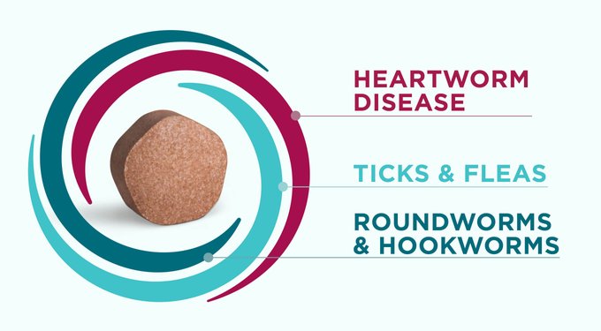 Treats heartworm disease, ticks & fleas, and roundworms & hookworms
