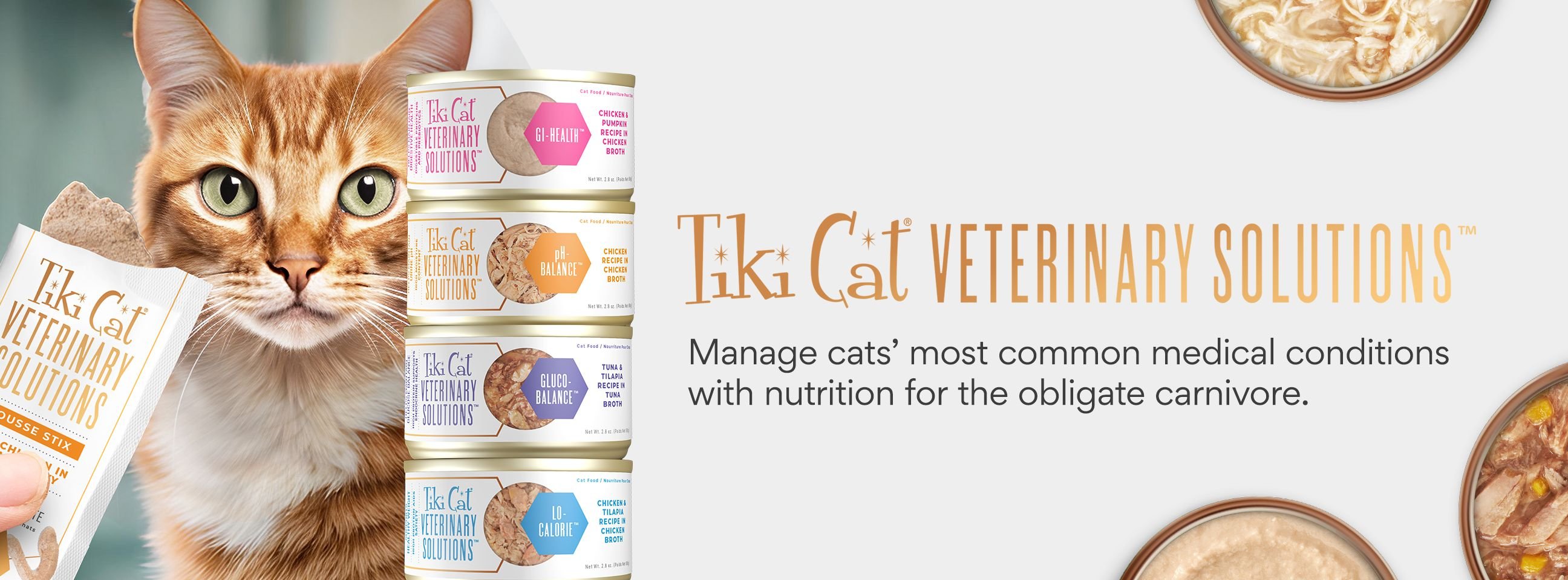 Medical cat food best sale