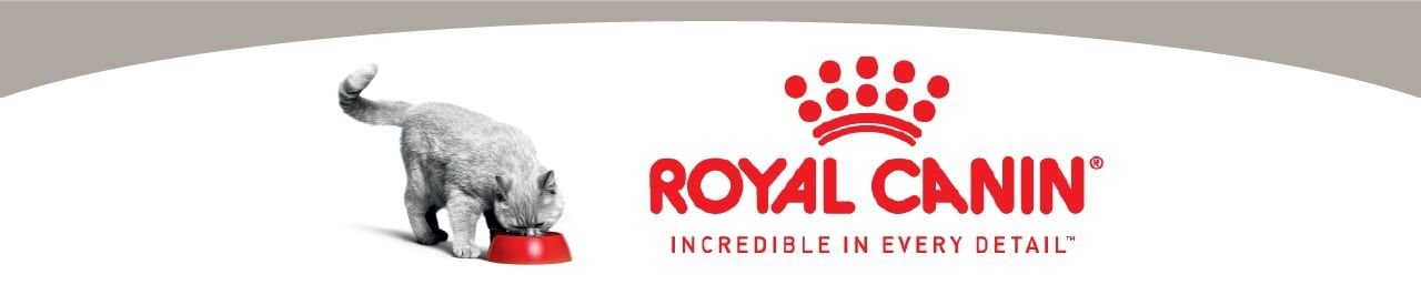 Royal Canin Feline Health Nutrition Kitten Loaf in Sauce Canned Cat Food
