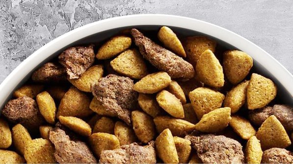 Everyday favorite dog food