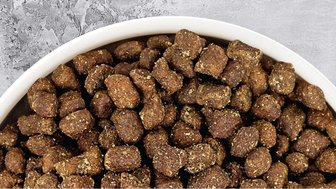 Dry Dog Food Healthiest Dry Dog Food Brands Chewy