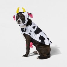dog costumes