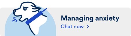 Chat free with our vet team about managing anxiety