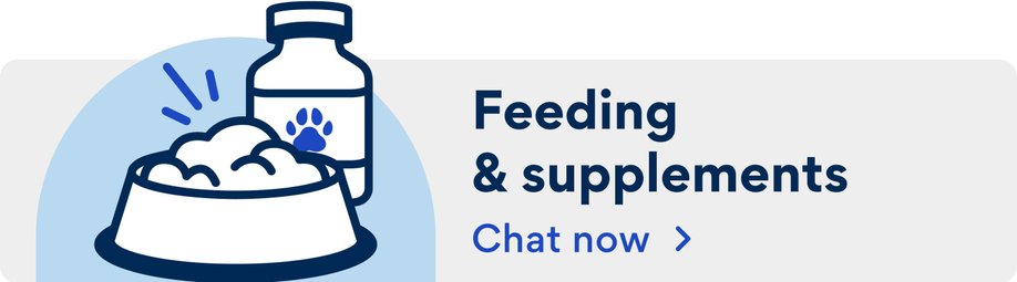 Chat free with our vet team about feeding and supplements