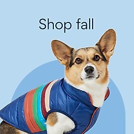 Chewy dog shirts store
