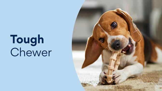 Tough Chewer