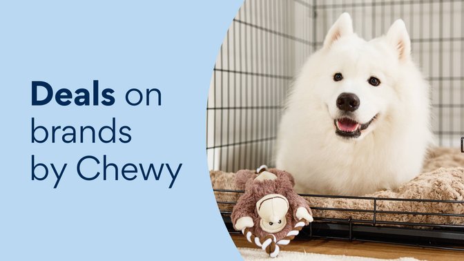 Today's Deals: Chewy Promo Codes, Discounts &amp; Coupons | Chewy