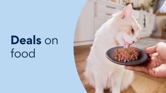 deals on food