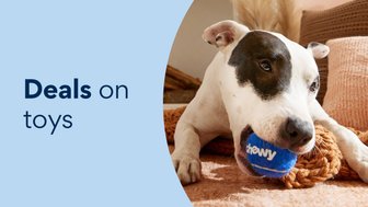 Deals on toys