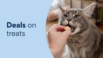 deals on treats