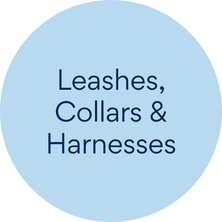 Leashes, Collars, and Harnesses
