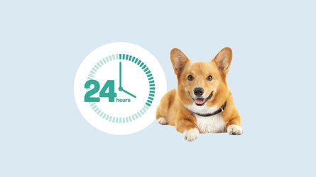 Relief you can count on