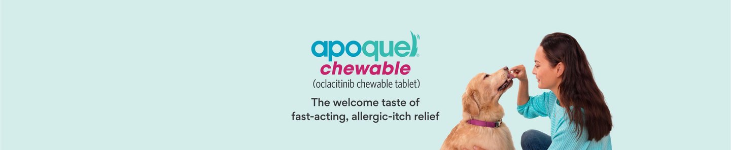 Apoquel Chewable. The welcome taste of fast-acting itch relief.