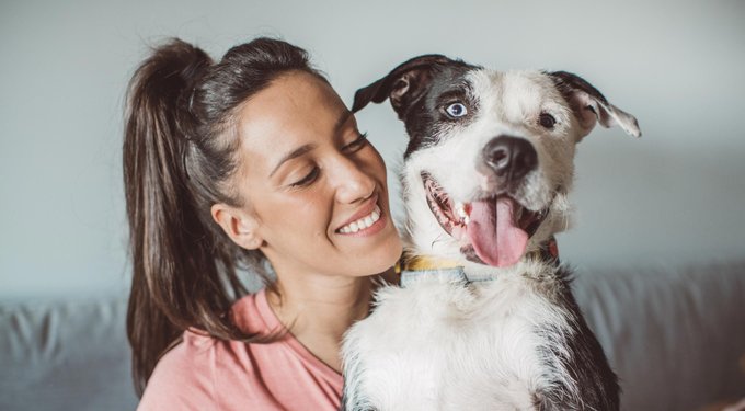 Apoquel stops allergic itch right at the source