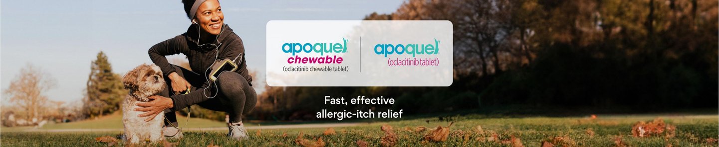Apoquel chewable and Apoquel tablet. Fast, effective allergic-itch relief.