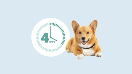 Relief you can count on