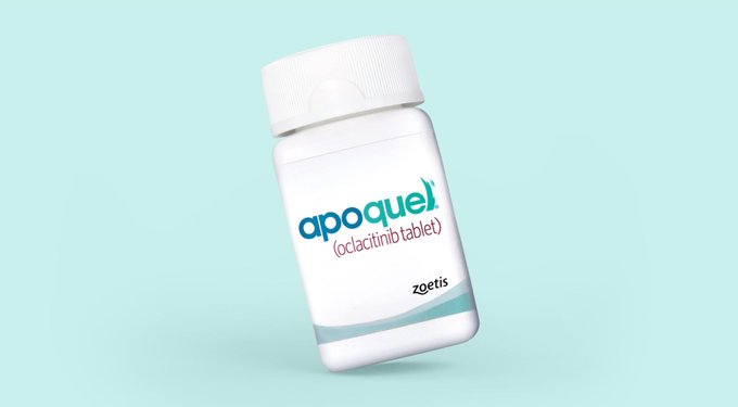 Apoquel (oclacitinib tablet). Zoetis.