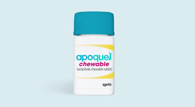 Apoquel Chewable (oclacitinib chewable tablet). Zoetis.