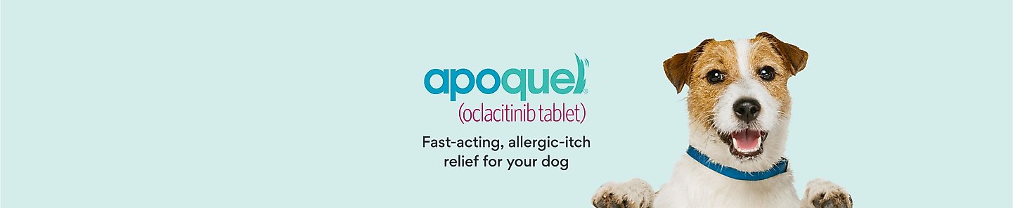 Apoquel (oclacitinib tablet). Fast-acting, allergic-itch relief for your dog.