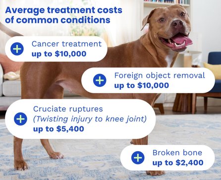 Average treatment costs of common conditions