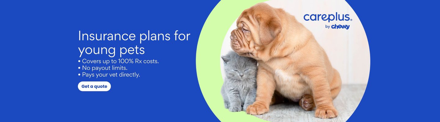Insurance plans for young pets. Covers up to 100% Rx costs, no payout limits, and pays your vet directly. Get a quote.