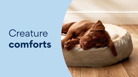 Creature comforts
