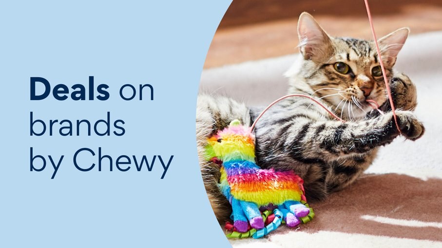 Today's Deals Chewy Promo Codes, Discounts & Coupons Chewy