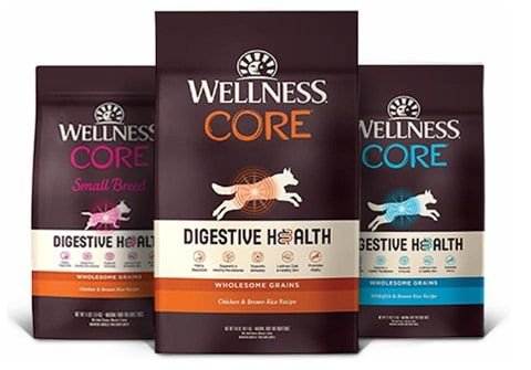 WELLNESS CORE Digestive Health Wholesome Grains Chicken Brown