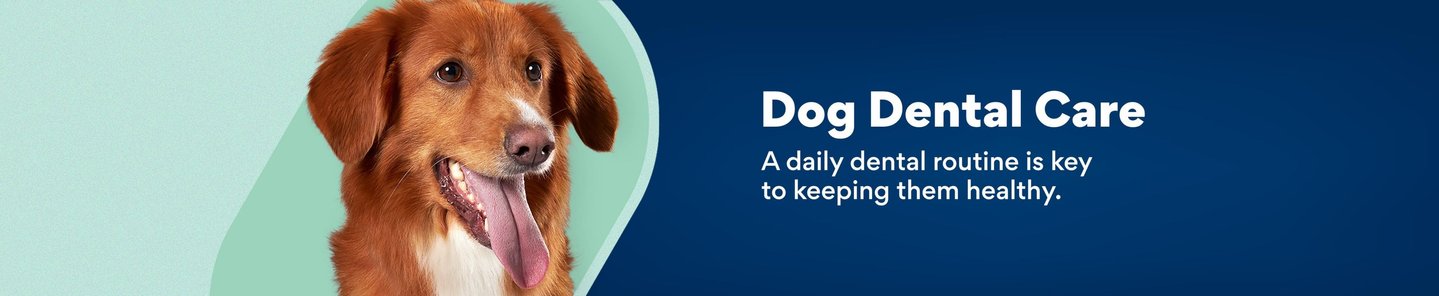 Dog Dental Care & Cleaning Products (Free Shipping) | Chewy