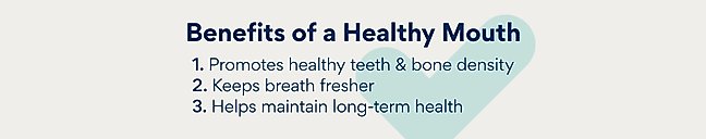 benefits of a healthy mouth. Promotes healthy teeth & bone density. Keeps breath fresher. Helps maintain long-term health