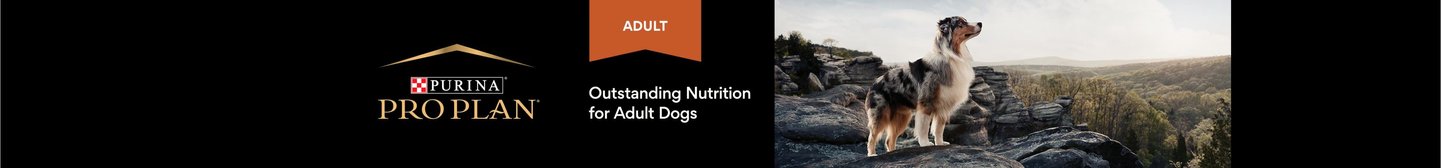 Purina Pro Plan Adult. Outstanding Nutrition for Adult Dogs.