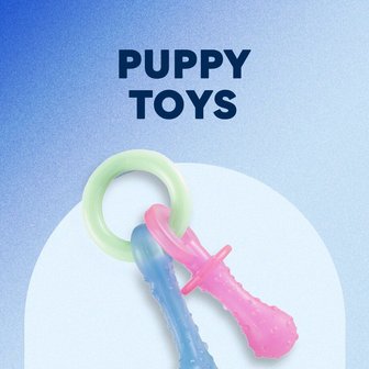 Buy Great&Small Glow in the Dark Ring & Rope Dog Toy from £9.99