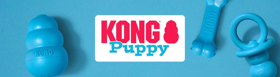 KONG Dog Cat Toys Free Shipping Chewy