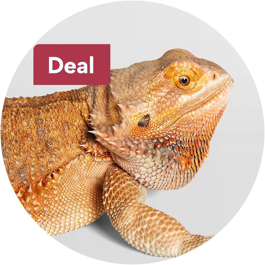 Today's Deals Chewy Promo Codes, Discounts & Coupons Chewy