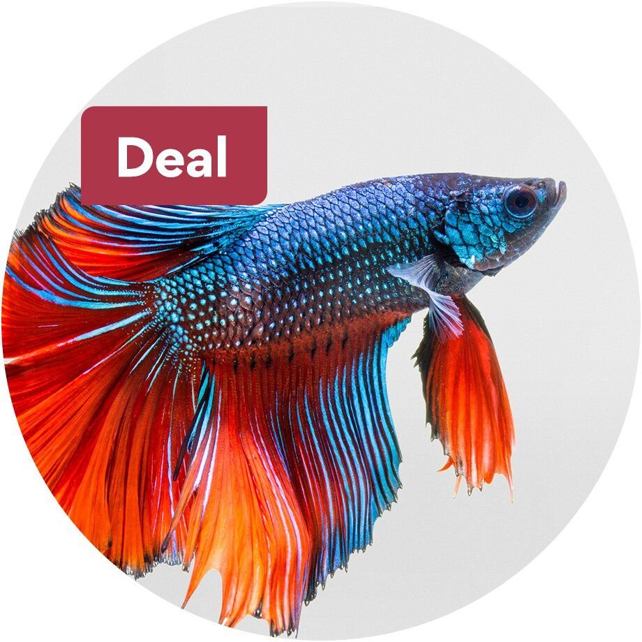 Today's Deals Chewy Promo Codes, Discounts & Coupons Chewy