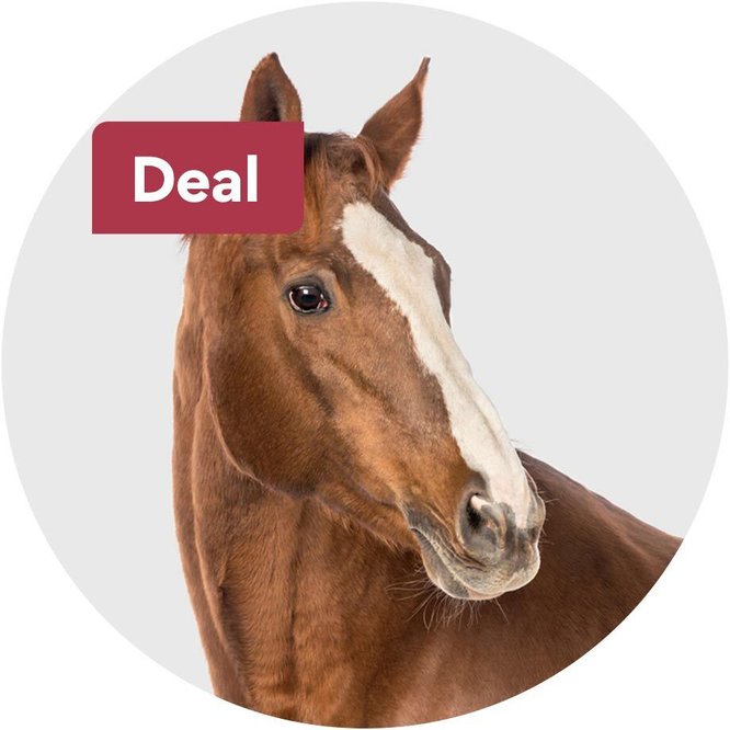 Today's Deals Chewy Promo Codes, Discounts & Coupons Chewy