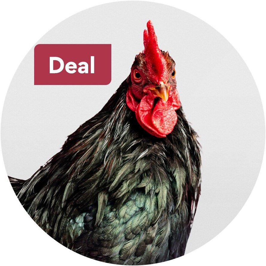 Today's Deals Chewy Promo Codes, Discounts & Coupons Chewy