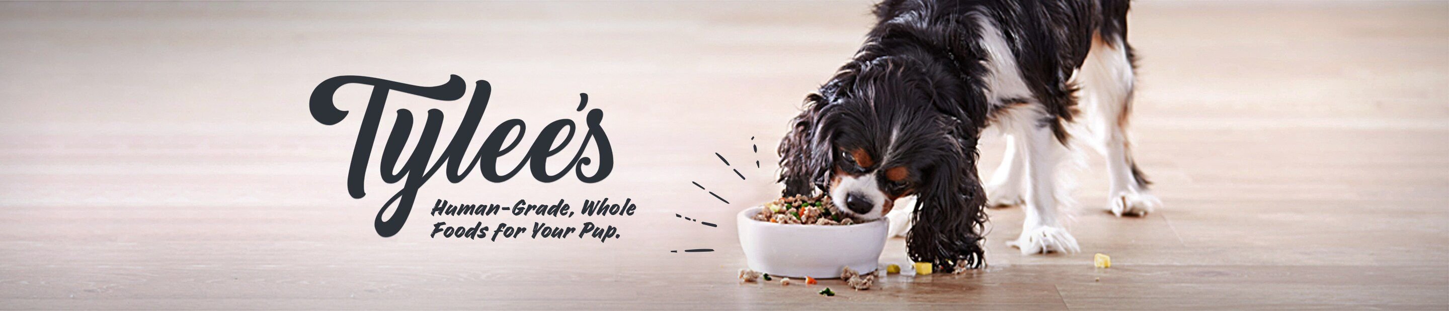 Discontinued TYLEE'S HumanGrade Pork Recipe Frozen Dog Food, 50oz