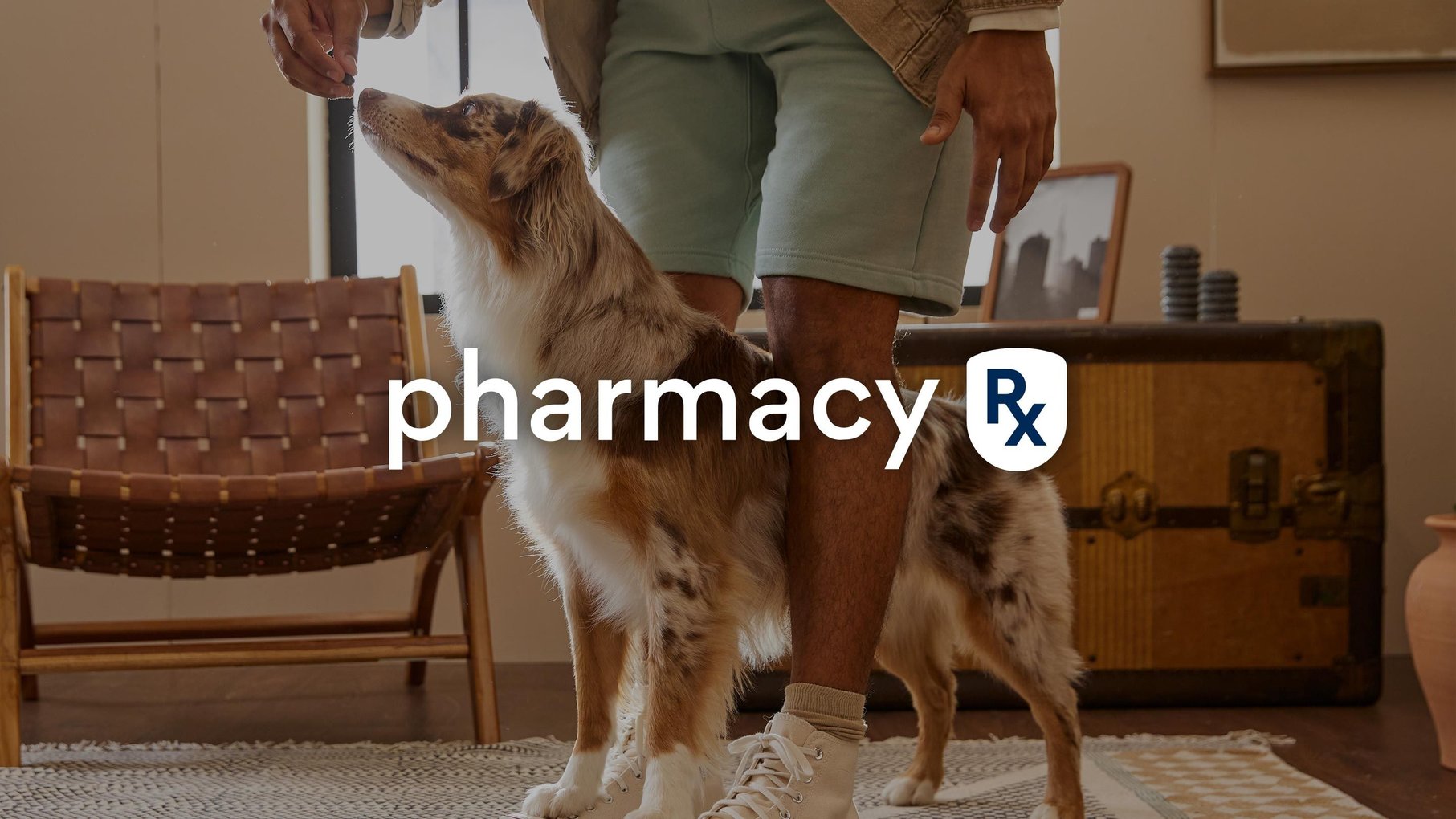 Chewy Store Near Me Convenience and Personalized Service at Your Fingertips