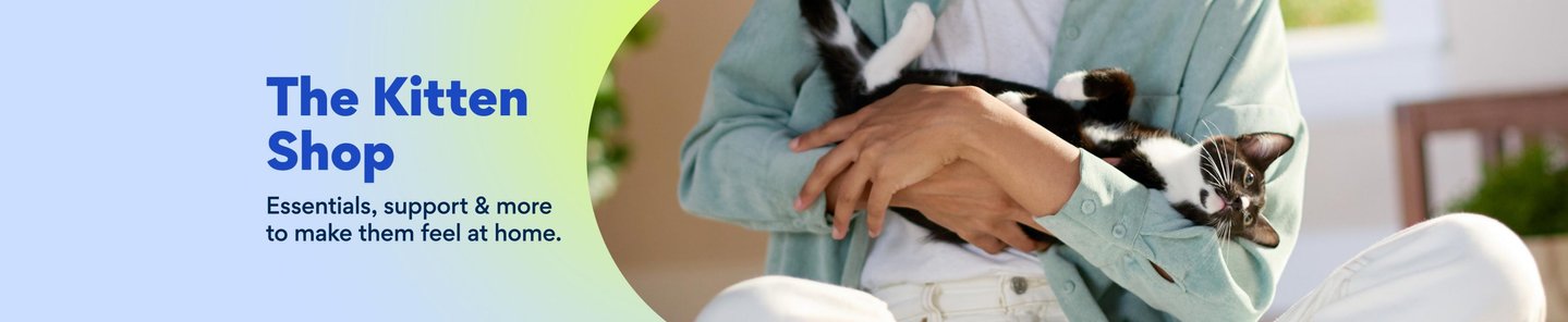 the kitten shop, essentials, support & more to make them feel at home