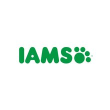 Iams dry dog food