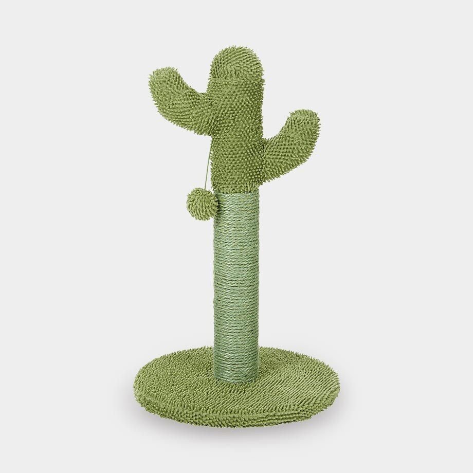 Frisco Pet Supplies (Free Shipping) Chewy