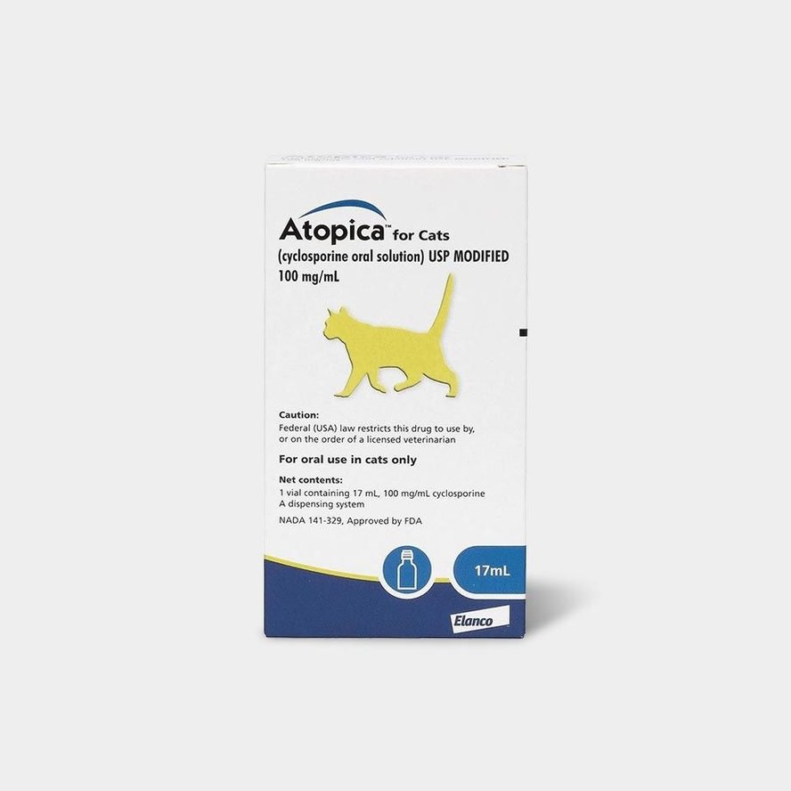 Flea Allergy Cat Allergy Relief Products photo